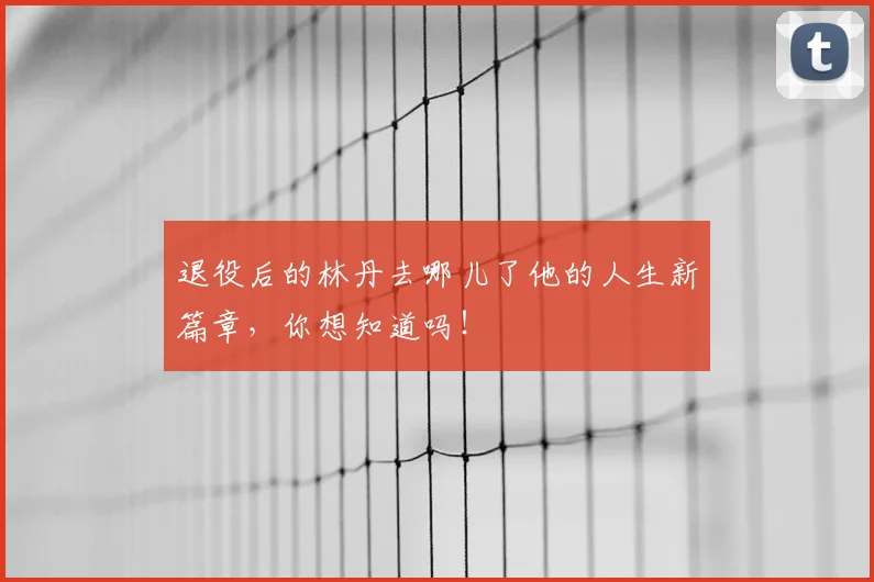 退役后的林丹去哪儿了他的人生新篇章，你想知道吗！