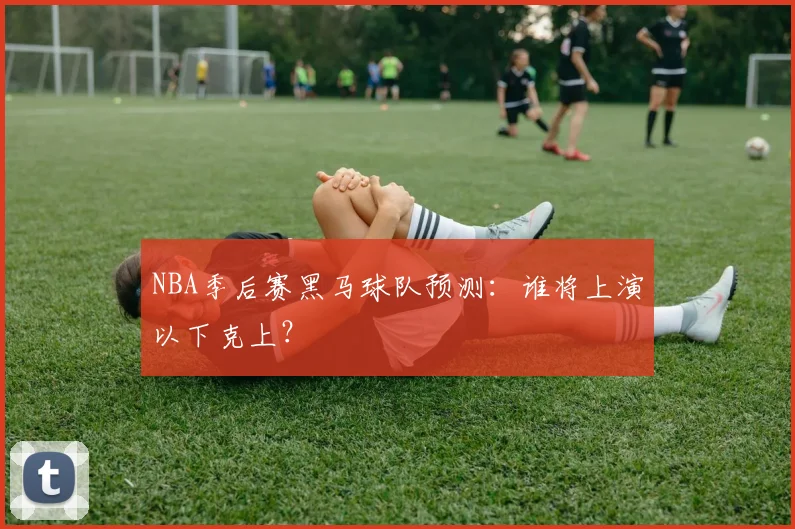 NBA季后赛黑马球队预测：谁将上演以下克上？