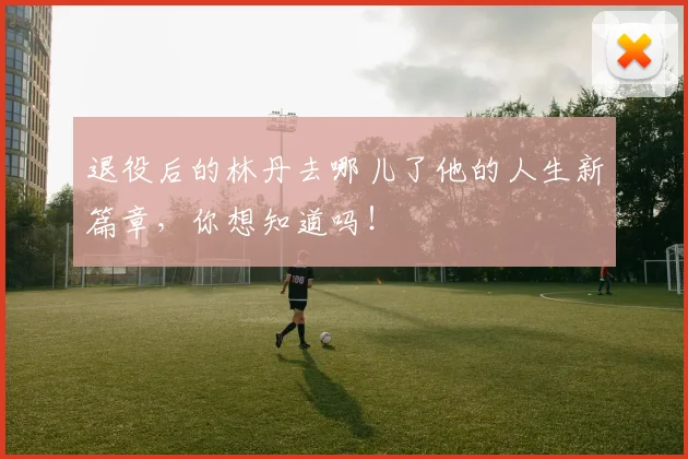 退役后的林丹去哪儿了他的人生新篇章，你想知道吗！